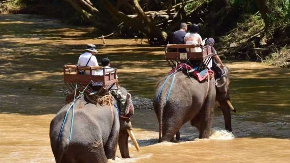 Mae Taeng Elephant Training Camp in Chiang Mai, Thailand [Elephant Riding, Elephant Performances, Oxcarts, Bamboo Rafting, Long-Neck Tribes, and More]