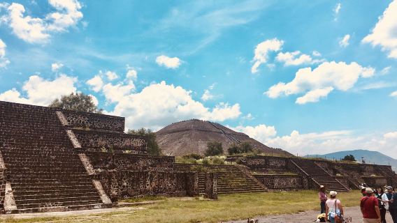 墨西哥城-走進龍舌蘭世界-跟團行程【1人可定｜中文司導】