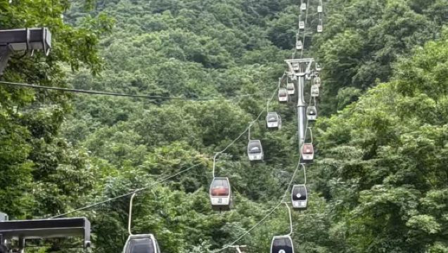 【南陽起止＋跟團免60門票】西峽老界嶺一日遊