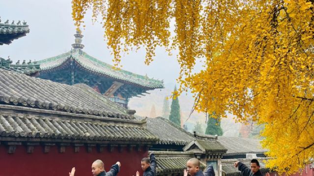 龍門石窟+少林一日遊【15人精品小團+上門接駁+純玩無購物】