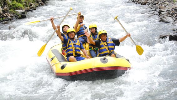 아융강 래프팅펄프 보드8 시간 [아융 래프팅 와 우부드 자유 투어 한국어 구사 운전 기사]