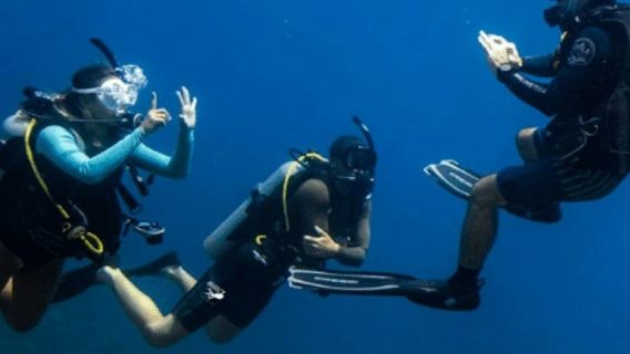 ดูไบ: หลักสูตร PADI Open Water แบบเรียนออนไลน์