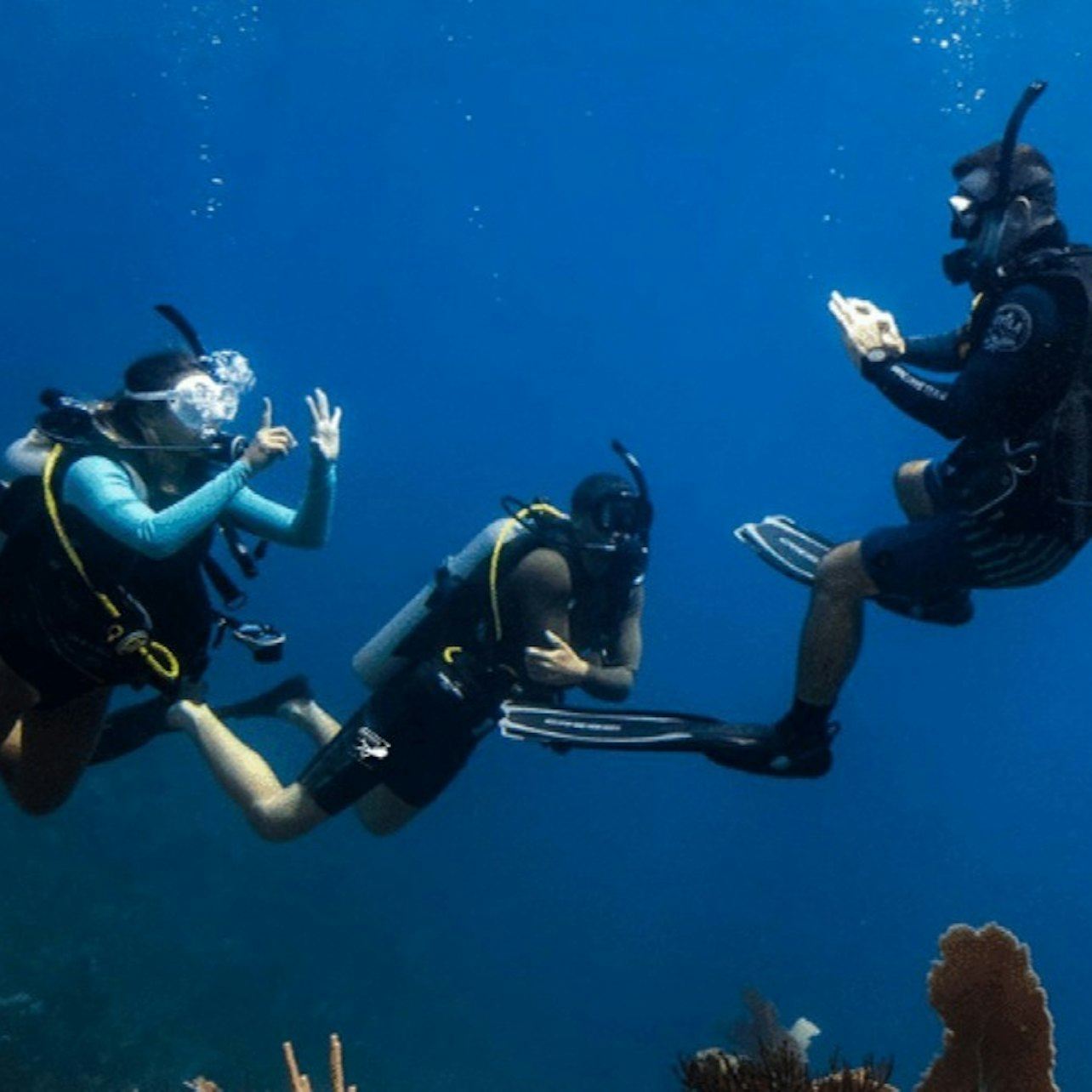 Dubaï : Cours Open Water PADI avec eLearning