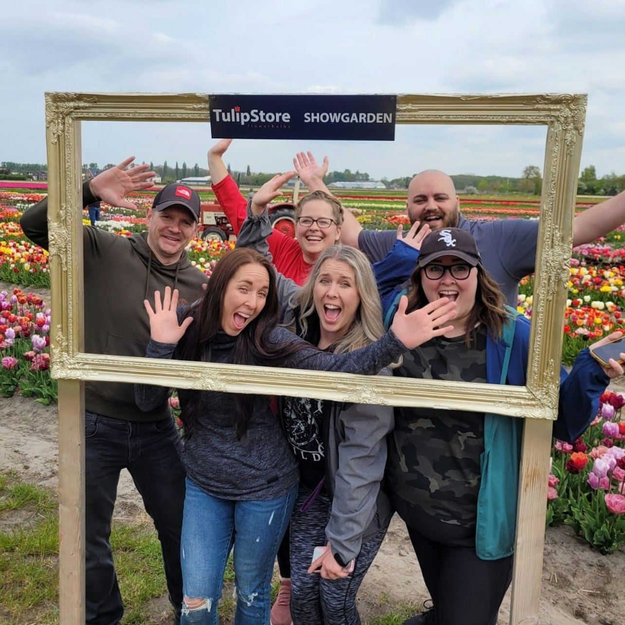 Amsterdam: tour guidato in bicicletta per piccoli gruppi tra i tulipani