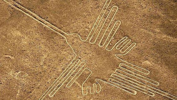 Tour di un giorno alle Linee di Nazca con partenza da Lima, Perù (vari pacchetti disponibili + biglietto bus di prima classe per Paracas)