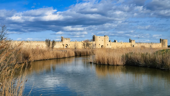 打卡梵高小鎮│法國阿爾勒競技場+卡馬格濕地（阿維尼翁來回）