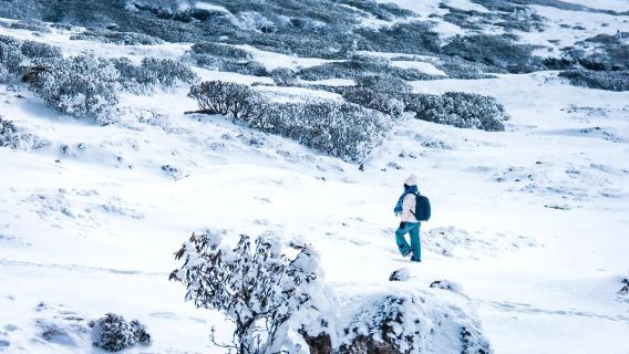 【完全遊び】轎子雪山8人ビジネス団+フリーパスワンデーツアー|オプションの独立貸切チャーター