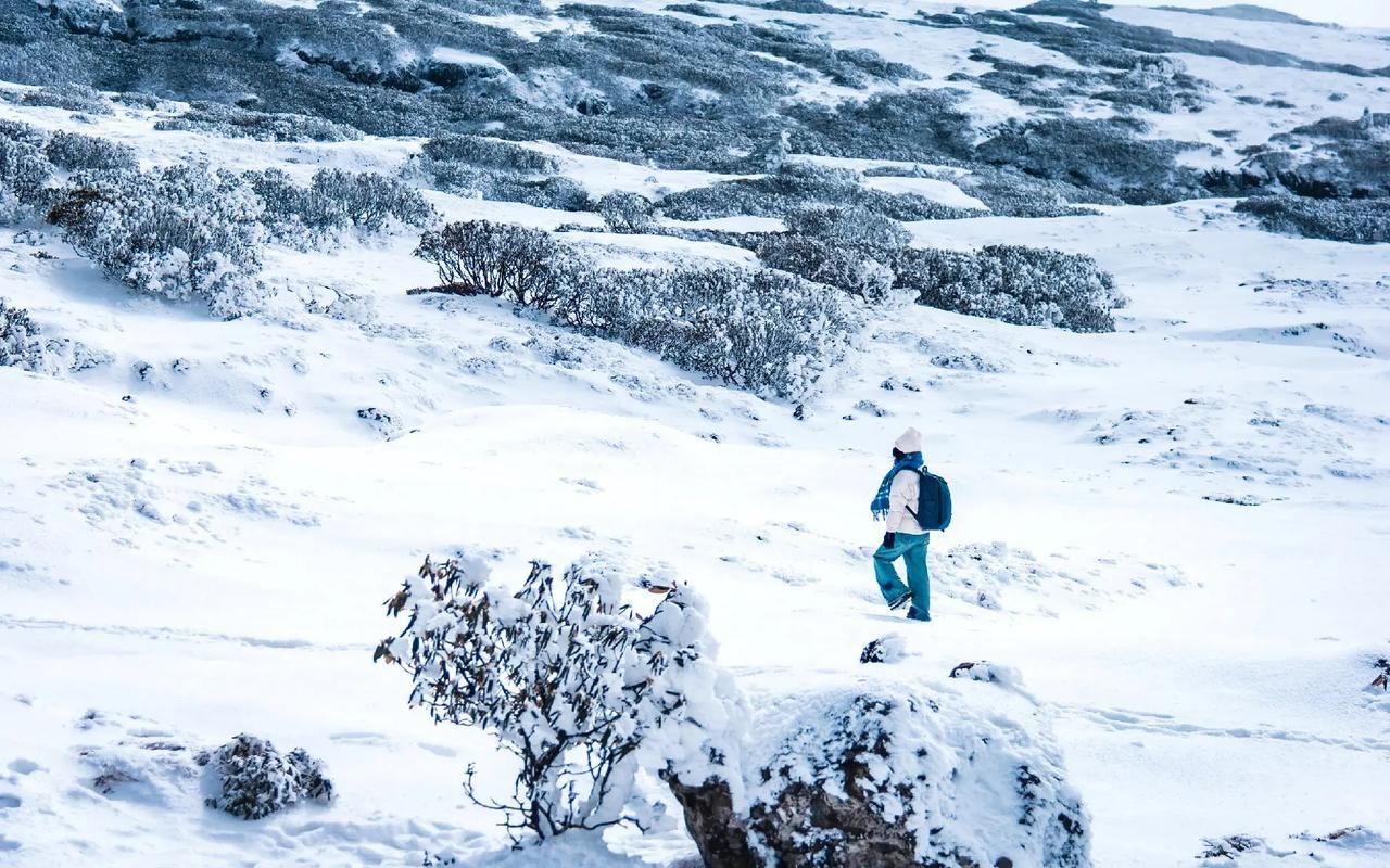 [Solo diversión] Excursión de un día al monte Jiaozi en grupo de negocios de 8 personas + paquete completo|Opcional servicio de coche privado con conductor independiente