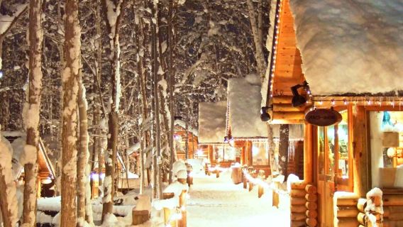 Однодневный тур в зоопарк Асахияма + Ningle Terrace + ферму цветов Сикисай-но Ока + популярное дерево в Биэй