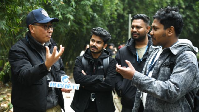 Visite guidée en anglais de 3 heures à la base des pandas de Chengdu en petit groupe de 10 personnes + produits culturels exclusifs