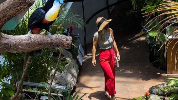 [Il Pianeta Verde a Dubai] Biglietto d'ingresso principale per Il Pianeta Verde negli Emirati Arabi Uniti - Opzione di trasferimento punto a punto in sola andata disponibile