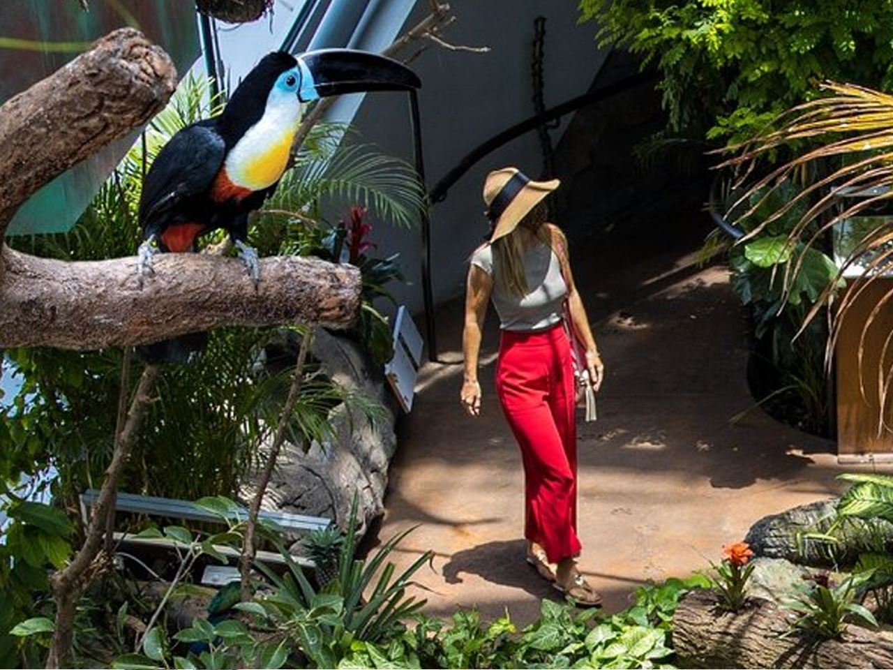 [The Green Planet Dubai] The Green Planet Dubai - General Admission Ticket/Optional One-Way Point-to-Point Transfer