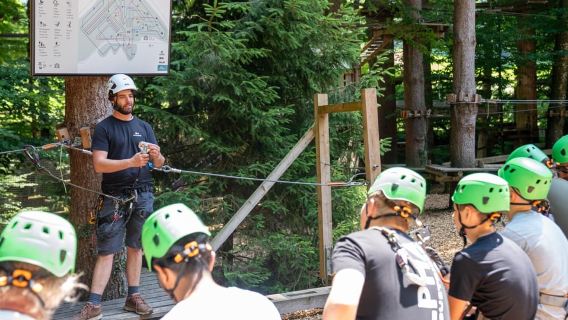 Rope Park Interlaken: Climbing Adventure with Entry Ticket