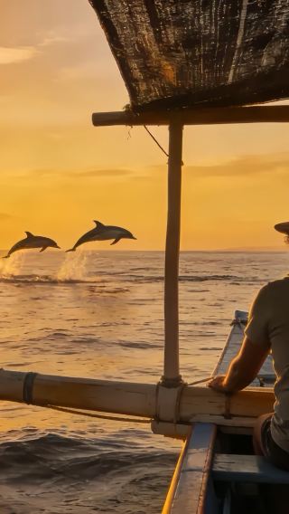 [More Bookings, More Discounts] Bali Lovina Dolphin Watching Day Tour | Optional Snorkeling, Sea Fishing, ATV, Rafting