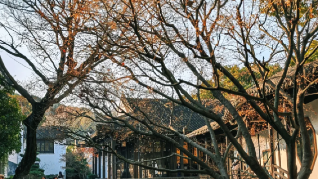 【揚州精華一日遊】瘦西湖 + 個園 + 東關街 + 早茶體驗