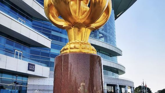 Hong Kong Golden Bauhinia Square 1-day tour (with private transfer, admission ticket not included)