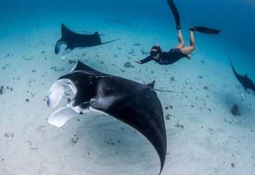 Unusedrooms Travel Tours and Information