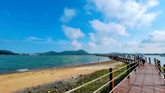 陽江海陵島出發打卡大角灣水晶宮+紅樹林國家濕地公園包車一日遊