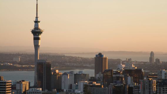 Buchung nach Beratung/Neuseeland Auckland Zoo Gebäude Mount Eden Queen Elizabeth Square/Flughafen/Punkt-zu-Punkt-Transfer/Reiseführer und Fahrer/Chauffeurservice