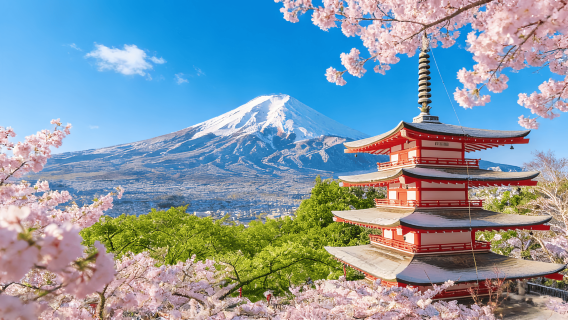 후지산 인기 명소 하루 투어: 아라쿠라야마 센겐 공원 + 가와구치 호 + 오시노 핫카이