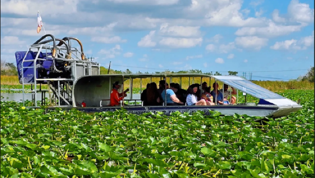 USA, Miami: Tour giornaliero in hovercraft al Parco delle Everglades - Incontro ravvicinato con i coccodrilli