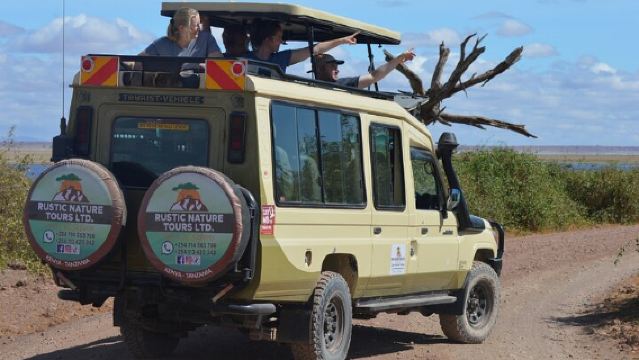 Tour del Parco Nazionale di Nairobi, dell'Orfanotrofio degli Elefanti e del Centro delle Giraffe