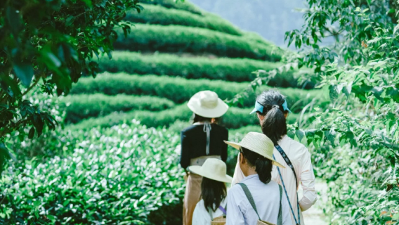 Excellent guide service Wuyishan 1-day tour with guide. Vehicle type optional, itinerary can be freely customized and tickets can be booked on your behalf