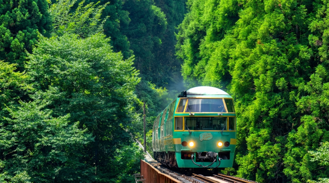 Beppu Sea Hell & Yufuin Forest Train Experience One-Day Deep Tour