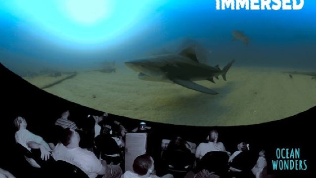 Ocean Wonders: Catalina Island's Immersive Movie Experience