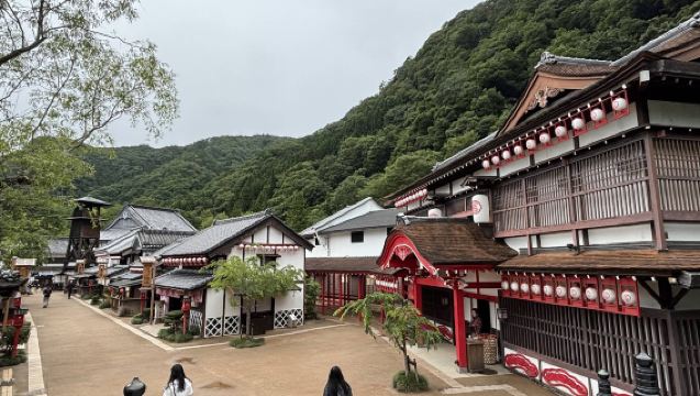 日本東京-日光江戶徒步一日遊（可定制周邊遊）酒店接送