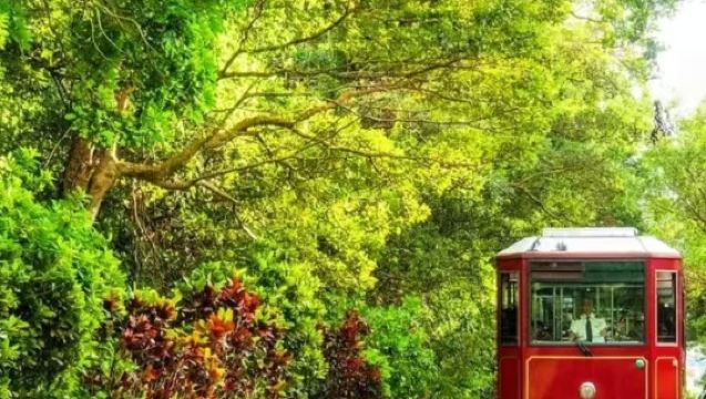 香港太平山頂纜車票 凌霄閣摩天台