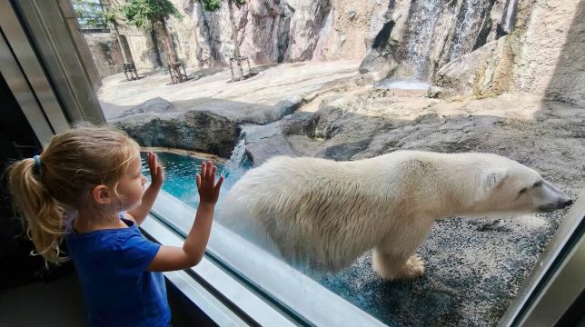 Asahikawa Zoo Day Tour