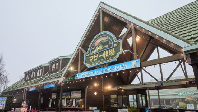 Nitto transportation private charter premium mid-size sightseeing bus with Wi-Fi - choose between mother farm or mitsui outlet park transfer options