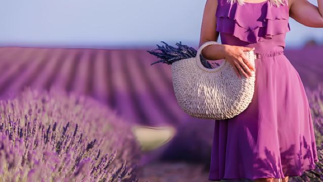 Perjalanan Sehari ke Sault + Valensole Perancis | Dua Ladang Lavender Provence yang Terkenal
