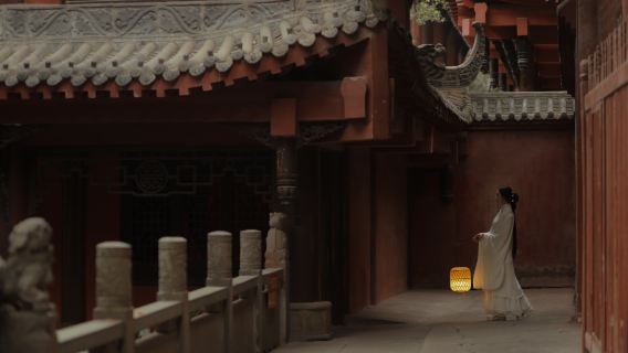 Laoling trip moments[On-site photography services including newborn photos, family portraits, promotional videos, photos, short videos, portraits, wedding photos with all raw images provided]