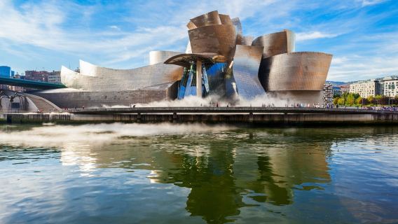 Museo Guggenheim de Bilbao: Entrada con Audioguía