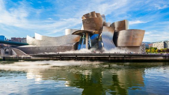 Museo Guggenheim de Bilbao: Entrada con Audioguía