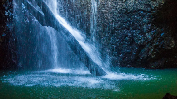 [Eksplorasi Gua Kunang-Kunang Gold Coast] Taman Negara Springbrook + Jambatan Semula Jadi + Ladang Syurga