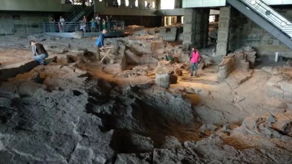 eendaagse tour naar het Zigong Dinosaurusmuseum (exclusief toegangsticket)