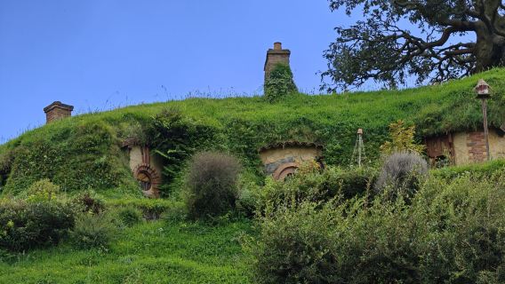 Tour 1 ngày bằng buýt tham quan làng phim Hobbit tại Auckland | Bao gồm vé vào cổng + thức uống đặc biệt tại quán rượu Rồng Xanh, check-in thực tế tại Middle Earth