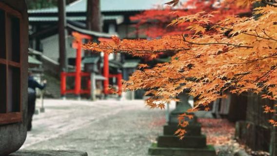 日本名古屋來回下呂溫泉+高山包車一日遊【12小時中文定制】