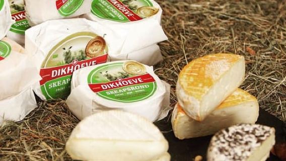 Amsterdam: tour in e-bike con degustazione di formaggio, mulini a vento e campagna