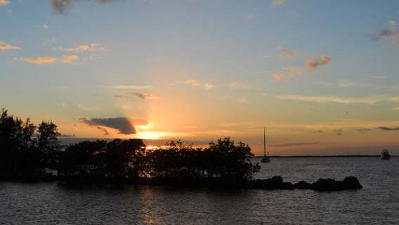Miami to Key Largo Round-Trip Scenic Airplane Tour