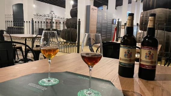 Jerez: Guided Winery Tour with Wine Tasting
