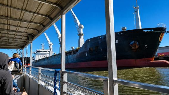 Savannah: Cruise Port Tour