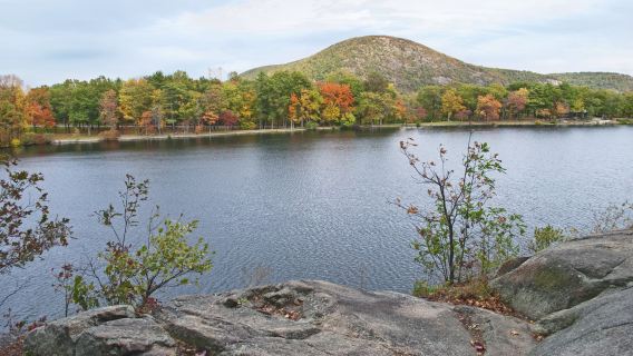 [Sewaan peribadi New York, Amerika Syarikat] Taman Negeri Bear Mountain + Pek Cold Spring - Pemandangan semula jadi