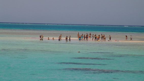 DahabTours