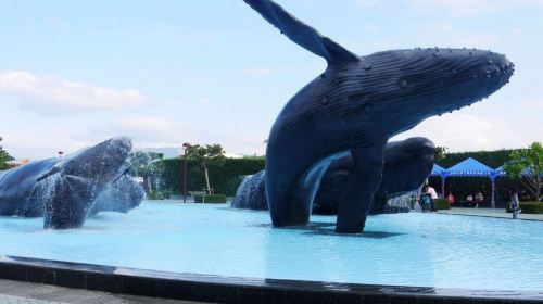 Marine Biology & Aquarium + Eluanbi Park + shared transportation one-day tour[Depart from Kaohsiung] Day Tours