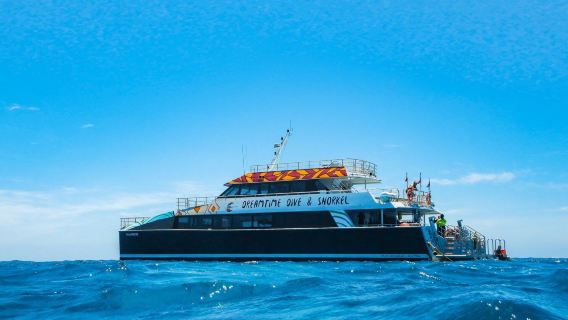 Cairns Dreamtime Cruise ke Great Barrier Reef (2 terumbu karang)