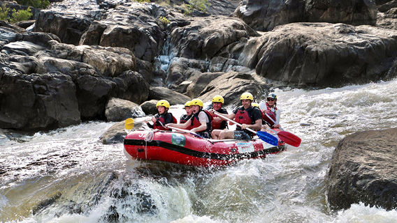 CairnsTours